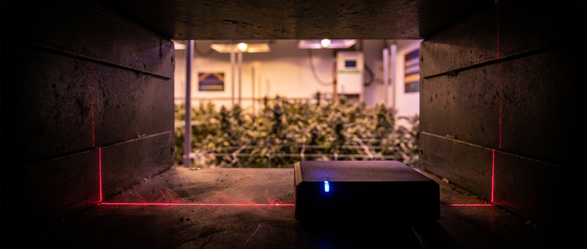 AI Pest Monitoring for Cannabis Facilities | Bastet AI